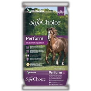 Nutrena safe choice senior coupons
