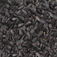 BLACK OIL SUNFLOWER SEED 50 LB Nischwitz Feed Fuel South