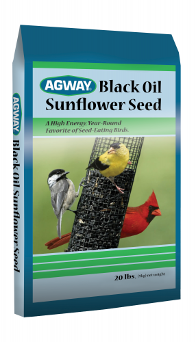 agway black oil sunflower seed 20lb myagway agway black oil sunflower seed 20lb myagway