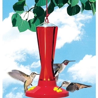 15% Off All Hummingbird Feeders