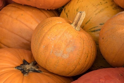 Fall Decorating Fun!