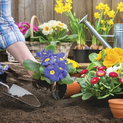 View Our Catalog Lawn Garden Supplies Outdoor Living Gardening
