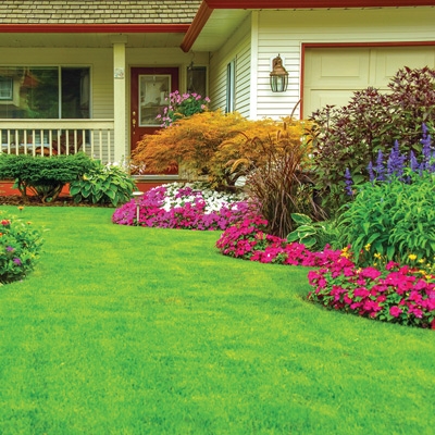 View Our Catalog Lawn Garden Supplies Outdoor Living Lawn Care
