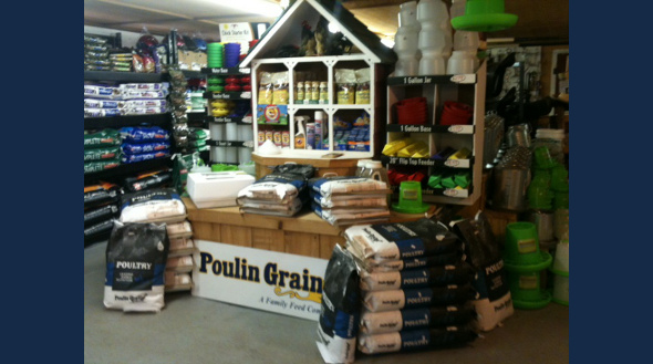 lakeside feed connecticut feed store equine livestock lakeside feed connecticut feed store equine livestock